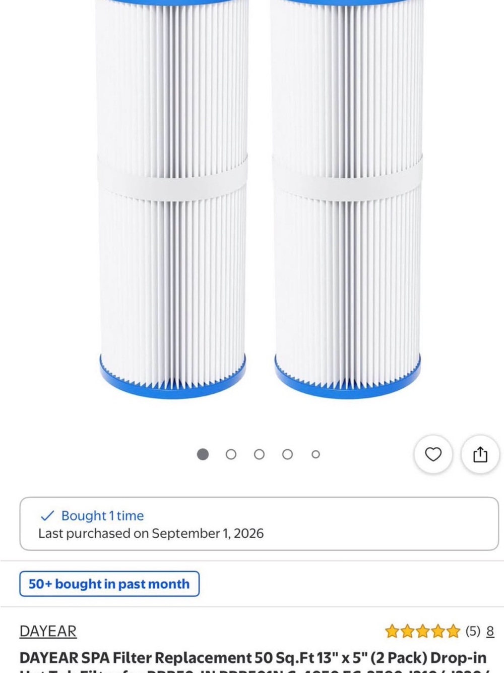 White & Blue Spa Filter Replacement - 2 Pack